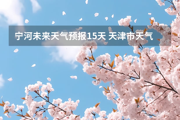 宁河未来天气预报15天 天津市天气预报天津市天气预报15天查询百度