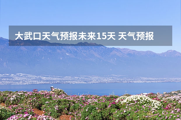 大武口天气预报未来15天 天气预报15天查询