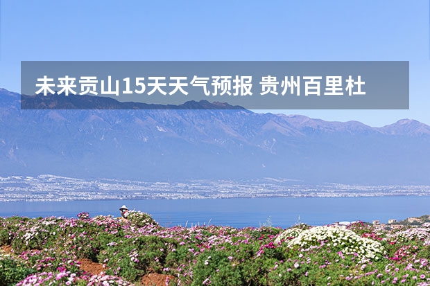 未来贡山15天天气预报 贵州百里杜鹃花天气预报15天