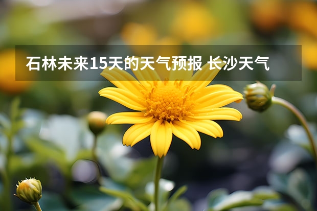 石林未来15天的天气预报 长沙天气预报长沙天气预报15天查询百度