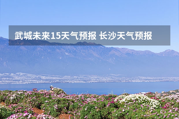 武城未来15天气预报 长沙天气预报长沙天气预报15天查询百度