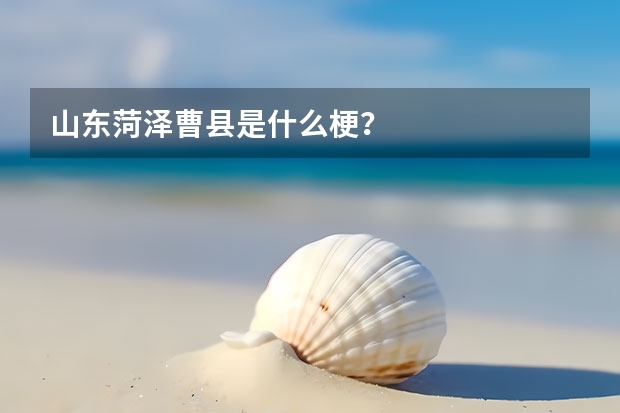 山东菏泽曹县是什么梗？