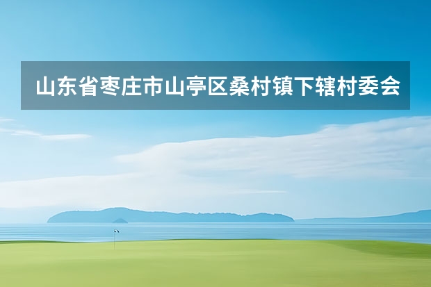 山东省枣庄市山亭区桑村镇下辖村委会有哪些？