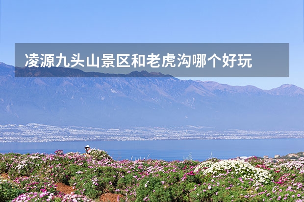 凌源九头山景区和老虎沟哪个好玩