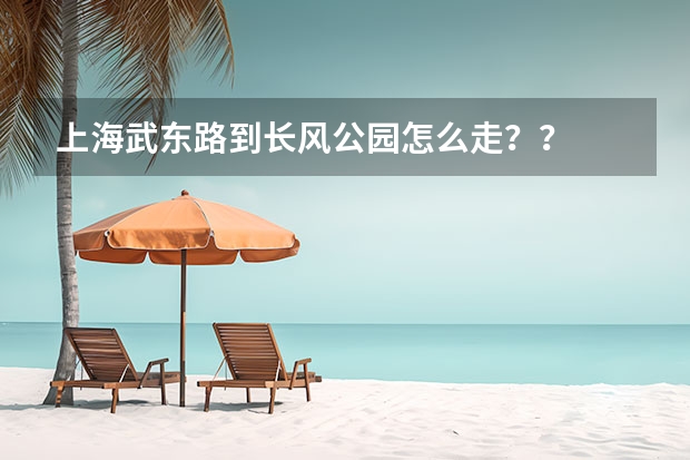 上海武东路到长风公园怎么走？？