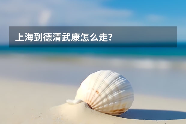 上海到德清武康怎么走？